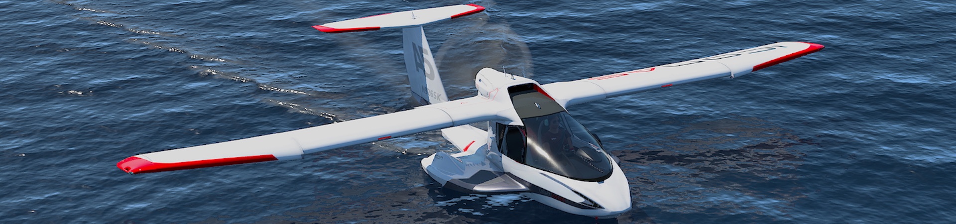 Amphibious Aircraft