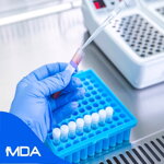 Molecular Diagnostics Market Research Reports