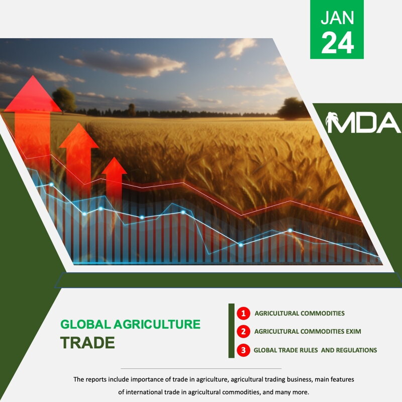 Global Agricultural Trade and Food Security